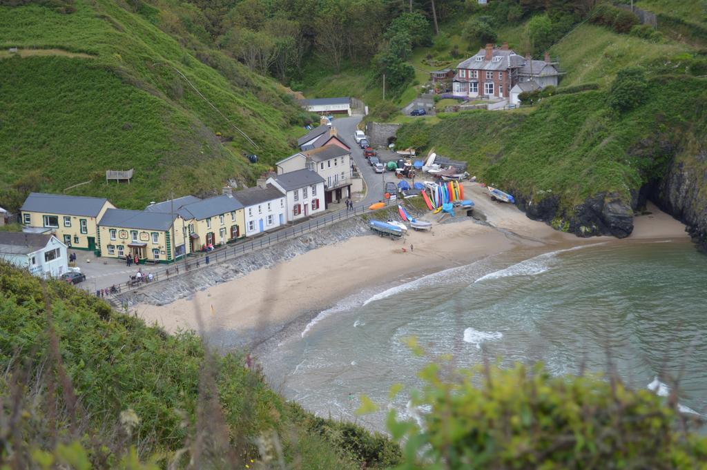 كارديغين Troedyrhiw Bed & Breakfast المظهر الخارجي الصورة